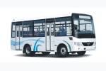 少林SLG6600T5GF公交車（天然氣國五10-19座）