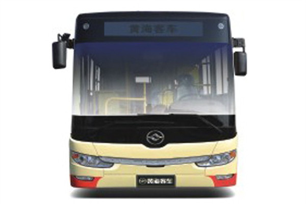 黃海DD6109CHEV1N公交車（天然氣/電混動(dòng)國五18-36座）