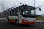 中車(chē)時(shí)代電動(dòng)TEG6690BEV公交車(chē)（純電動(dòng)10-25座）