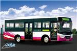 友誼ZGT6810NV公交車（天然氣國五15-30座）