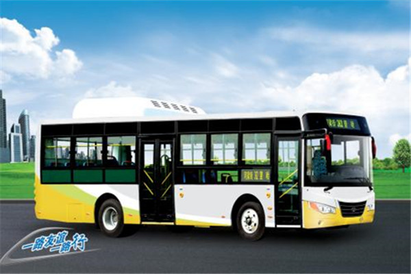 友誼ZGT6109NHV公交車（天然氣國五15-41座）