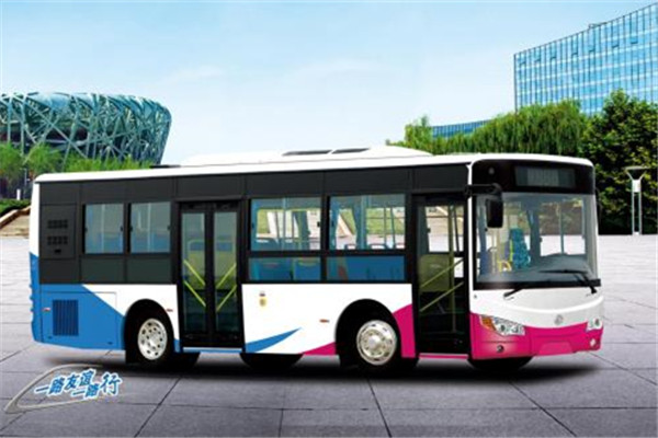 友誼ZGT6910NHV公交車（天然氣國五15-36座）