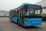 奇瑞萬(wàn)達(dá)WD6125EHEV公交車(chē)（天然氣/電混動(dòng)國(guó)五24-40座）