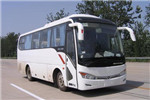 金龍XMQ6859AYN5C客車（天然氣國五24-37座）