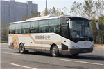 中通LCK6117HGN公交車（天然氣國(guó)五10-52座）