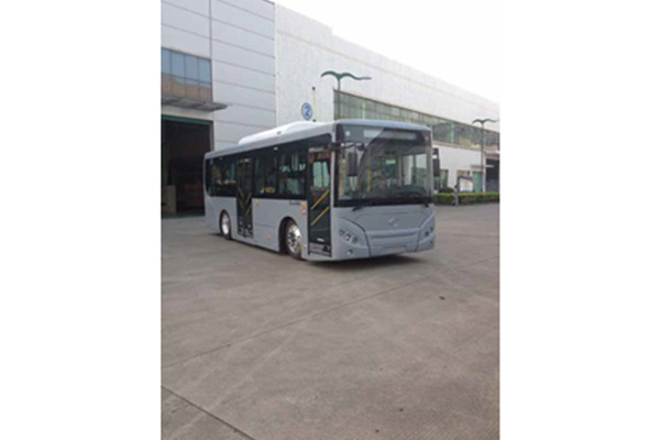 五洲龍FDG6851EVG2公交車（純電動10-28座）