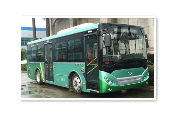 五洲龍FDG6851EVG9公交車（純電動10-28座）