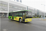 亞星JS6101GHBEV12公交車(chē)（純電動(dòng)16-36座）