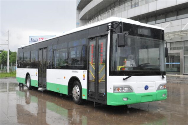 揚(yáng)子江WG6120BEVHM7公交車（純電動(dòng)29-45座）