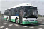 揚(yáng)子江WG6100BEVHM7公交車（純電動20-36座）