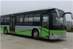 陸地方舟RQ6100GEVH0公交車（純電動(dòng)26-33座）