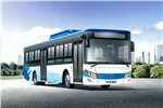 南京金龍NJL6100EV8公交車(chē)（純電動(dòng)19-37座）