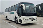 東風(fēng)旅行車(chē)DFA6118LBEV客車(chē)（純電動(dòng)24-50座）