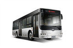 中車電動TEG6105BEV07公交車（純電動20-39座）