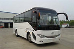 安凱HFF6819KDE5B客車（柴油國(guó)五24-34座）