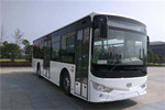 安凱HFF6100G03CHEV23插電式公交車（NG/電混動(dòng)國(guó)五18-36座）