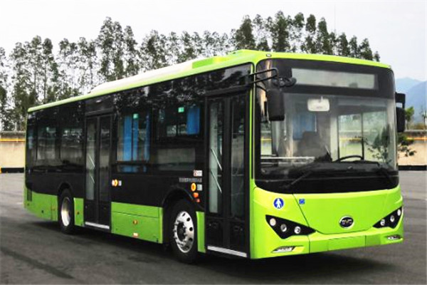 比亞迪BYD6101LGEV8公交車(chē)（純電動(dòng)20-39座）