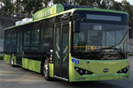 比亞迪BYD6122LGEV1低入口公交車(chē)（純電動(dòng)23-45座）