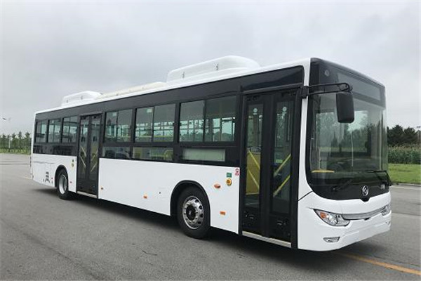 黃海DD6129EV20公交車（純電動(dòng)24-46座）