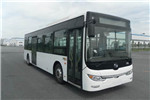 黃海DD6109EV10公交車（純電動20-32座）