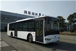 亞星JS6128GHBEV17公交車(chē)（純電動(dòng)21-46座）