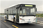 南京金龍NJL6100EV17公交車（純電動(dòng)19-37座）