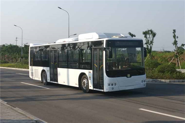 中車(chē)電動(dòng)TEG6129BEV08公交車(chē)（純電動(dòng)20-38座）