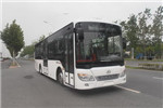 安凱HFF6101G03CHEV-2插電式公交車（天然氣/電混動(dòng)國五10-36座）