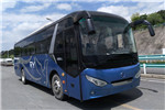 奇瑞萬達(dá)WD6109BEV1客車（純電動(dòng)24-48座）