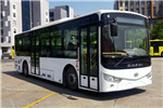 安凱HFF6100G9EV21公交車(chē)（純電動(dòng)19-39座）