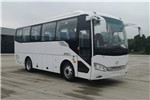 海格KLQ6829KAE61客車（柴油國六24-36座）