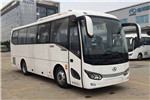 金龍XMQ6879AYD5C客車（柴油國(guó)五24-38座）