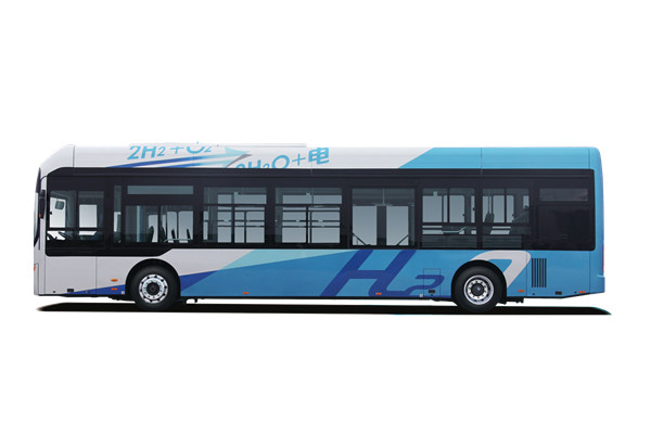 中通LCK6120EVG3D11低入口公交車（純電動20-46座）