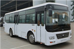 宇通ZK6902NG5公交車（天然氣國五10-36座）