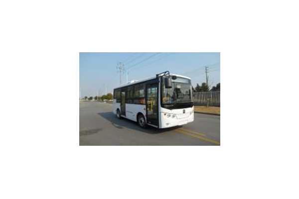 亞星JS6618GHBEV2公交車（純電動(dòng)9-12座）