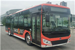 奇瑞萬(wàn)牌WD6117BEVG03公交車（純電動(dòng)19-39座）