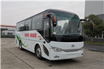 安凱HFF6900A6D6Y客車（柴油國(guó)六24-40座）