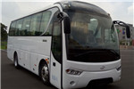 建康NJC6851YBEV4客車（純電動24-36座）