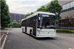 中興GTZ6109BEVB1公交車(chē)（純電動(dòng)25-39座）