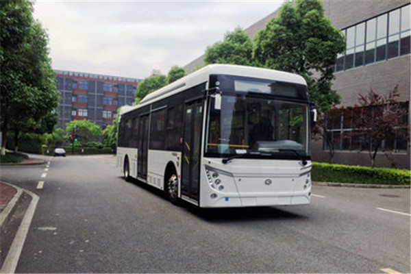 中興GTZ6109BEVB1公交車（純電動(dòng)25-39座）