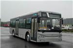 中興GTZ6107BEVB公交車(chē)（純電動(dòng)25-38座）