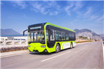 浙江中車CSR6100GCHEV1公交車（柴油/電混動(dòng)國五25-38座）