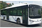 安凱HFF6120G9EV21公交車(chē)（純電動(dòng)20-44座）