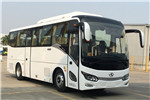 金龍XMQ6905AYBEVL2客車（純電動24-40座）